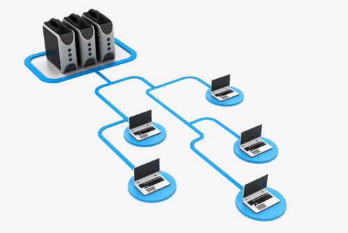 企業(yè)網(wǎng)絡維護外包 高效解決機房設備、局域網(wǎng)組建與共享修復問題